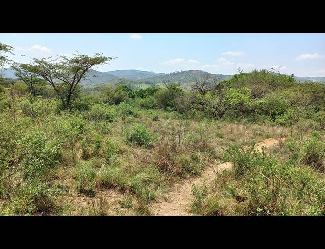 1HA SMALLHOLDING FOR SALE IN NELSPRUIT RURAL
